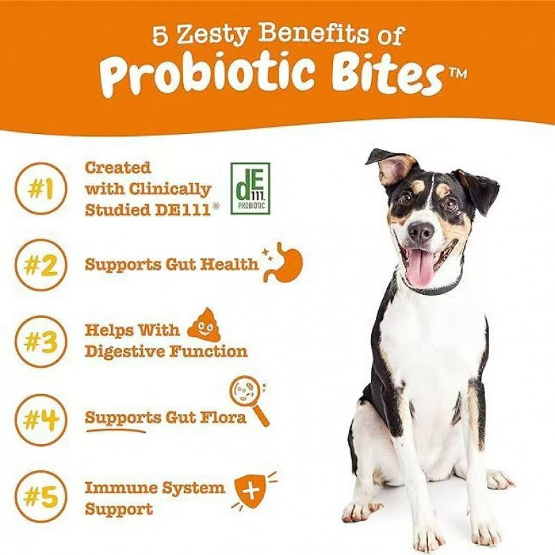 315g Probiotic Chewable Tablets Dog Food