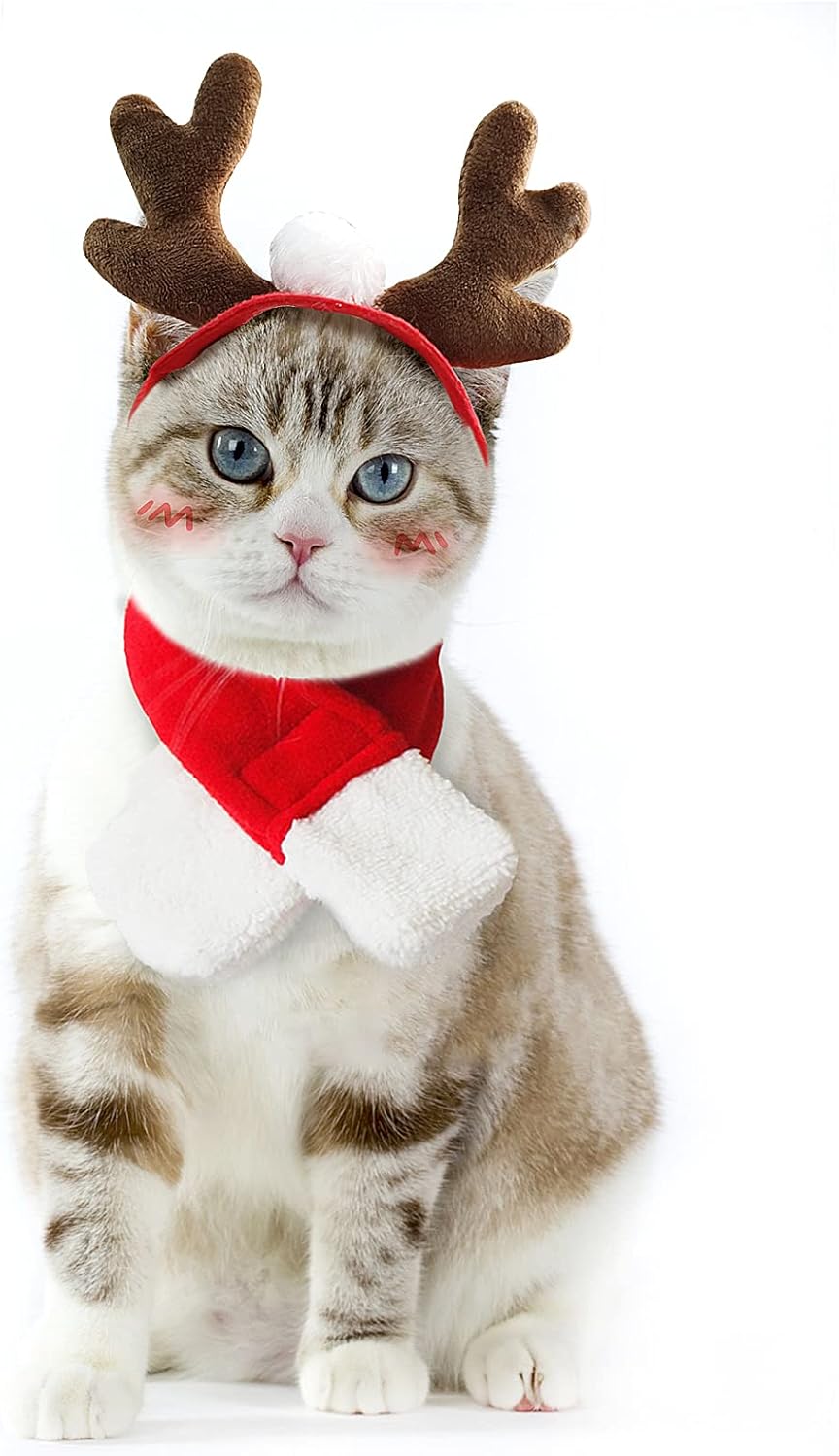 Pet Christmas Santa Costume – Hat & Cloak