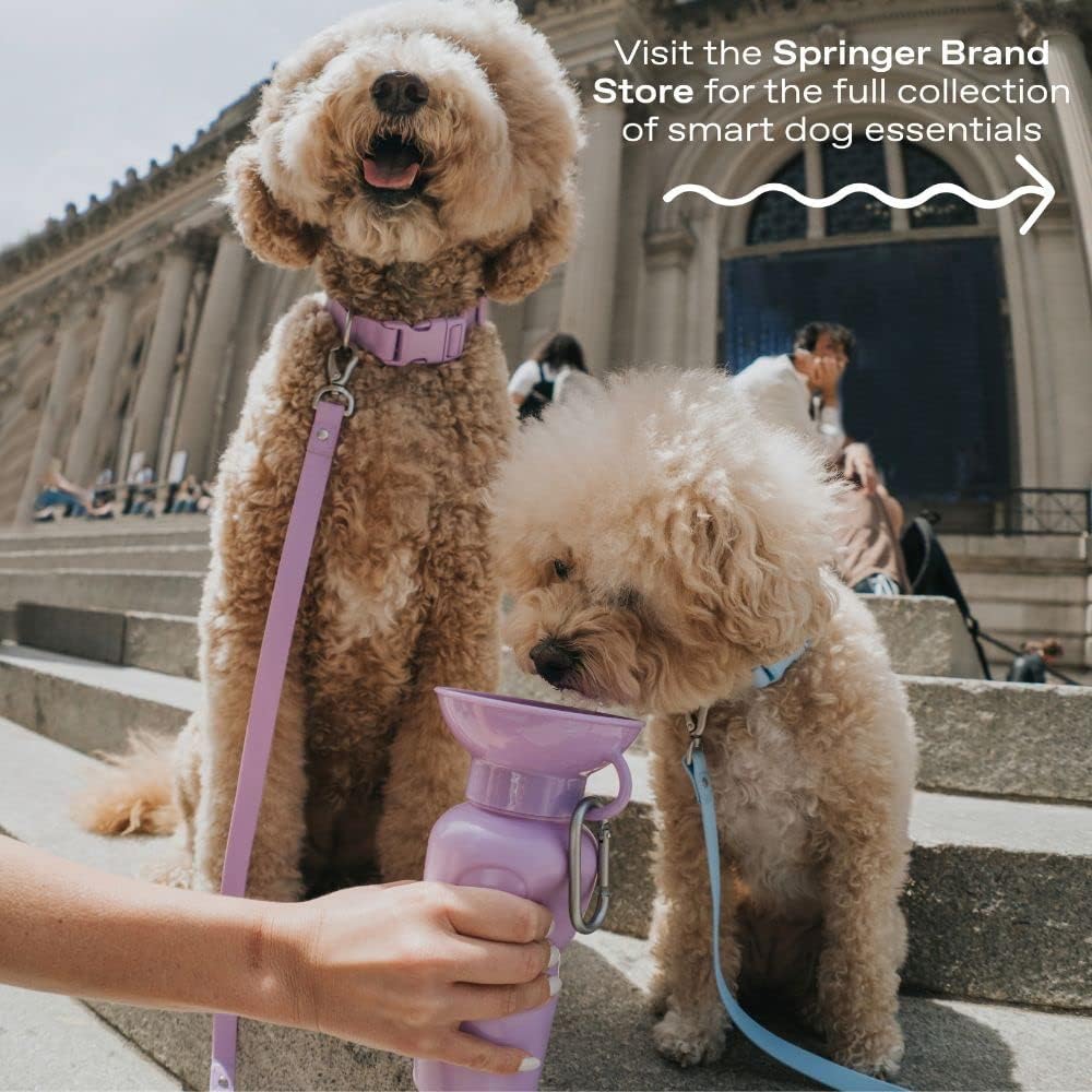 Springer by Springland Dog Water Bottle