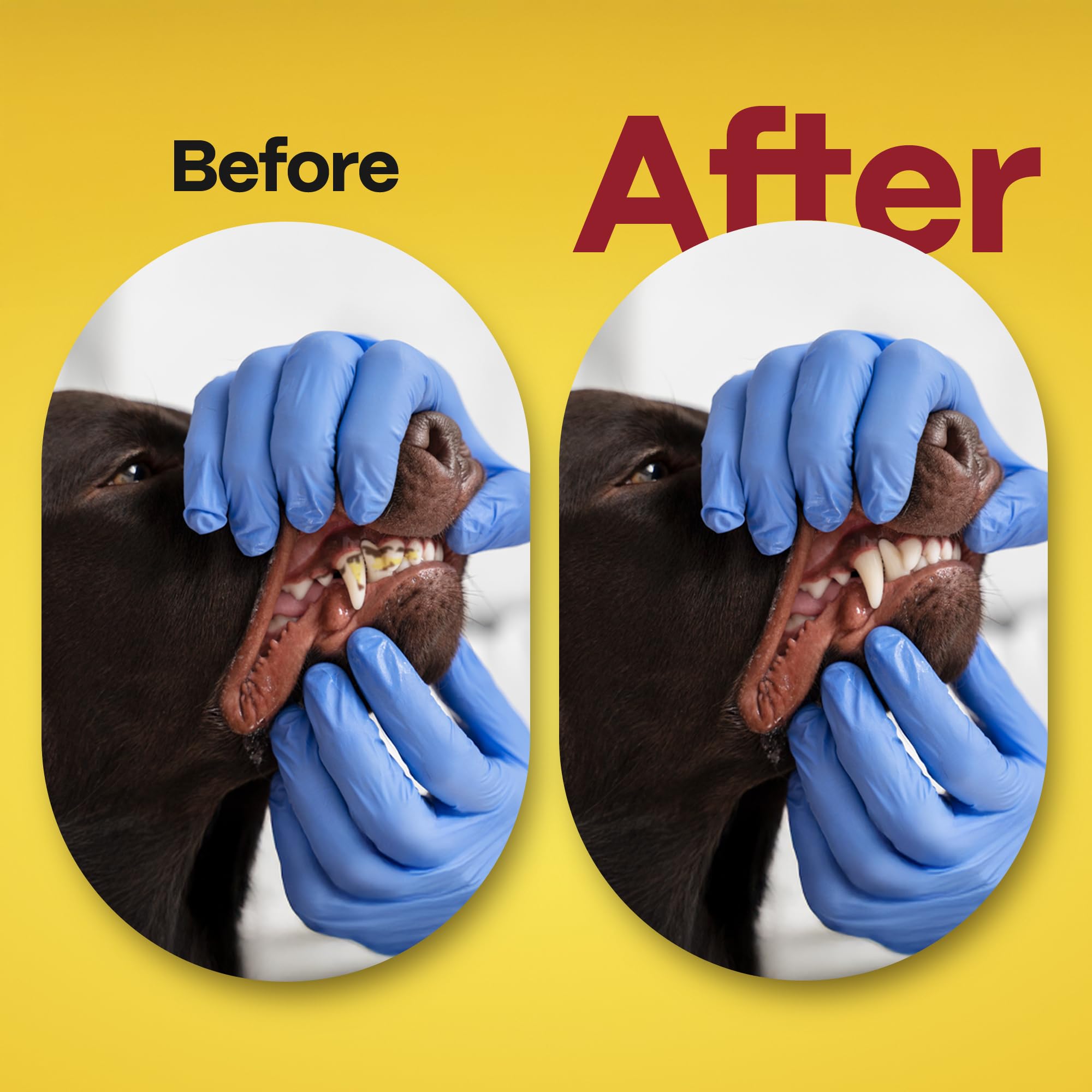 DOCO Dog Teeth Cleaning Wipes