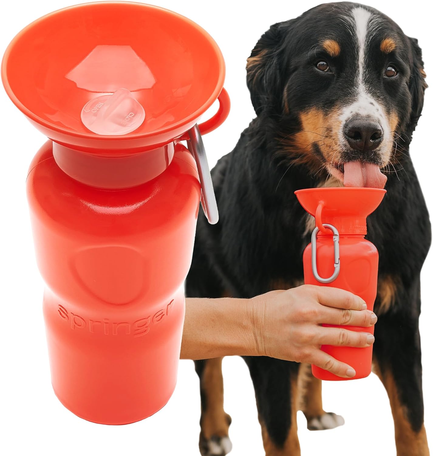Springer by Springland Dog Water Bottle