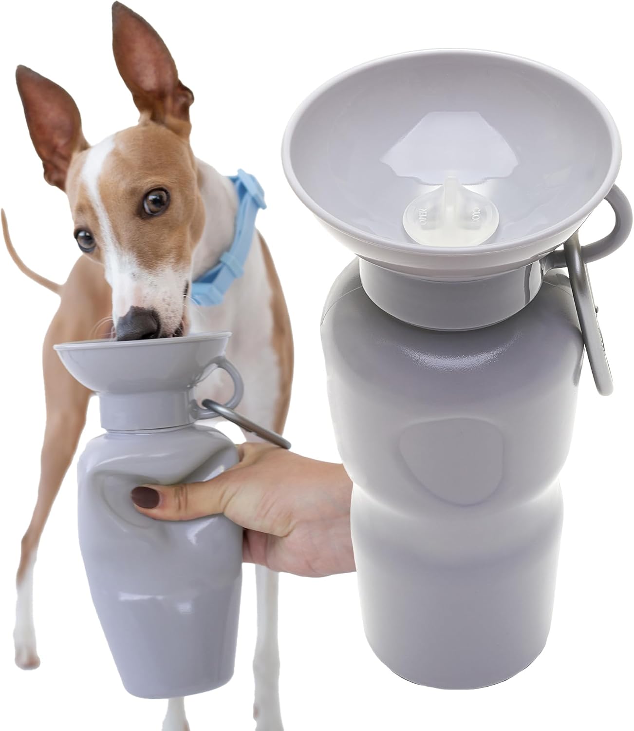 Springer by Springland Dog Water Bottle