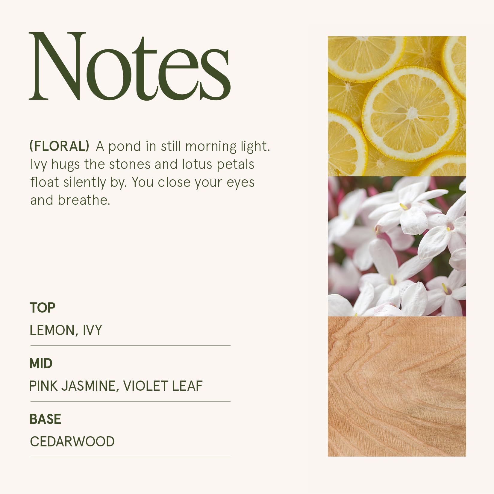 LA JOLIE MUSE Fall Candle | Sahara Amber Candles – Bergamot