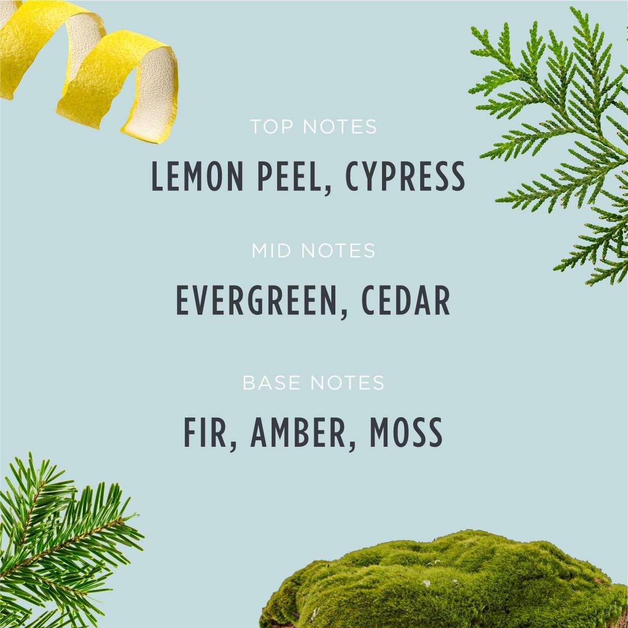 Santa's Naturals Fraser Fir Christmas Candle (9oz)