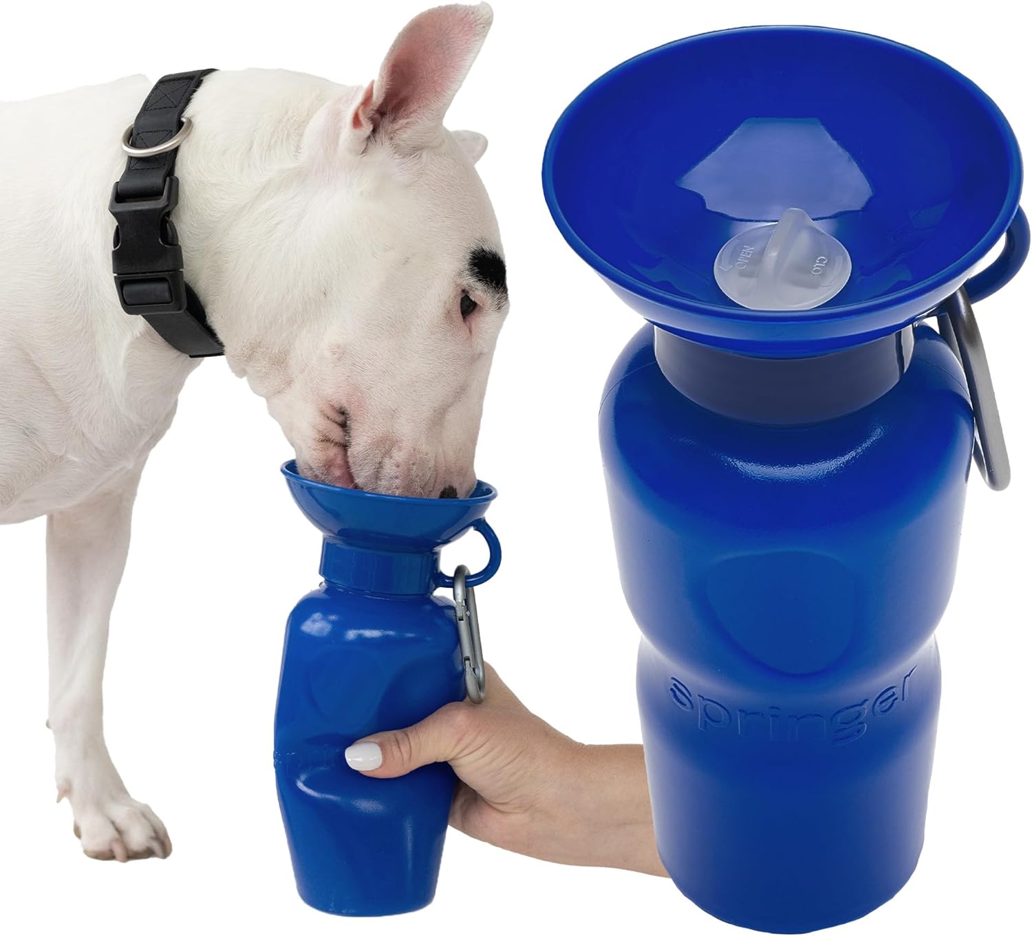 Springer by Springland Dog Water Bottle