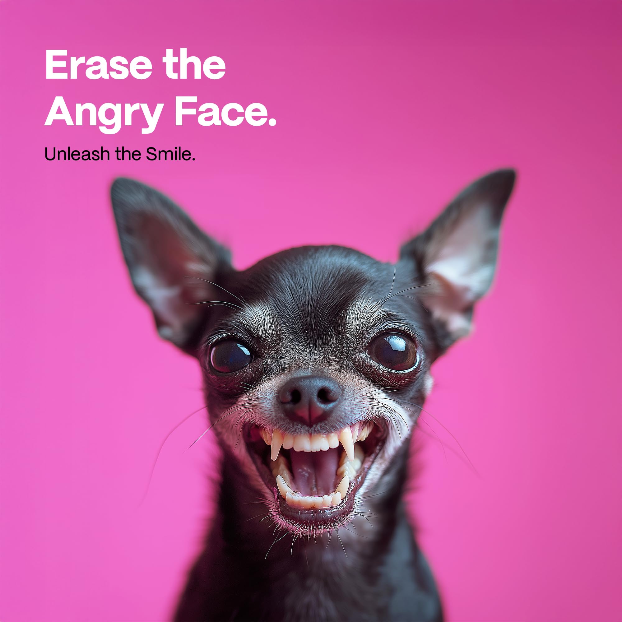 DOCO Dog Tooth Brushing Kit