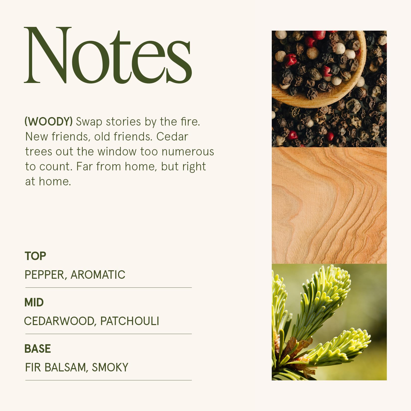 LA JOLIE MUSE Fall Candle | Sahara Amber Candles – Bergamot