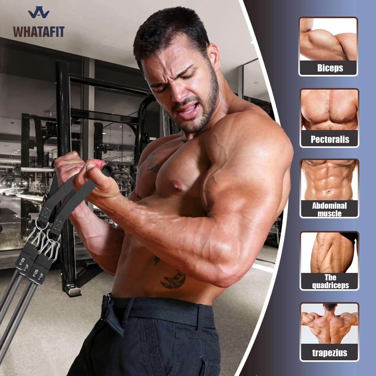 WHATAFIT Resistance Bands with Handles for Men and Women Fitness