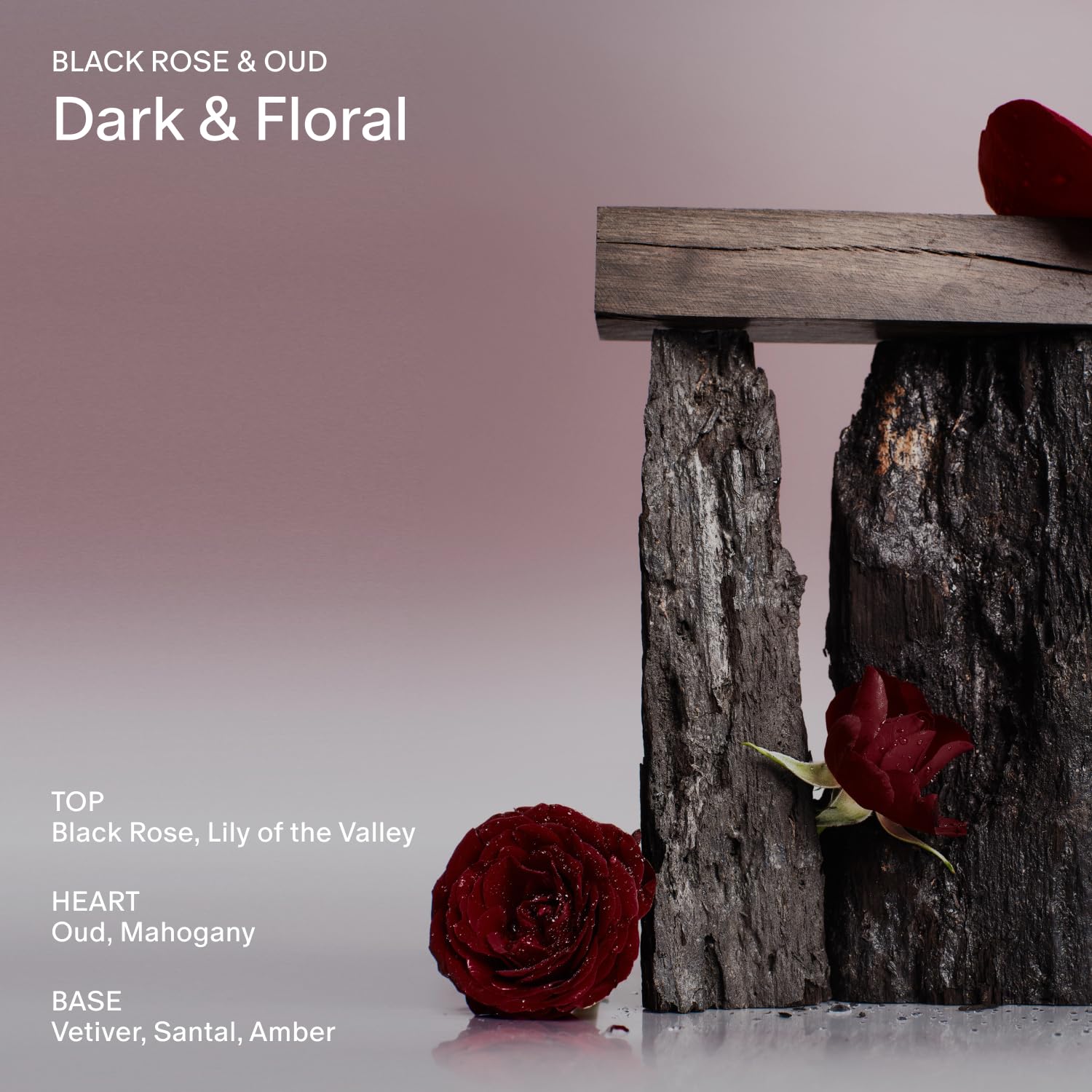 SALT & STONE Scented Candle for Women & Men