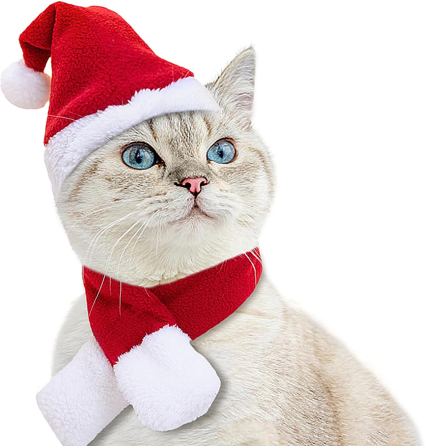 Pet Christmas Santa Costume – Hat & Cloak
