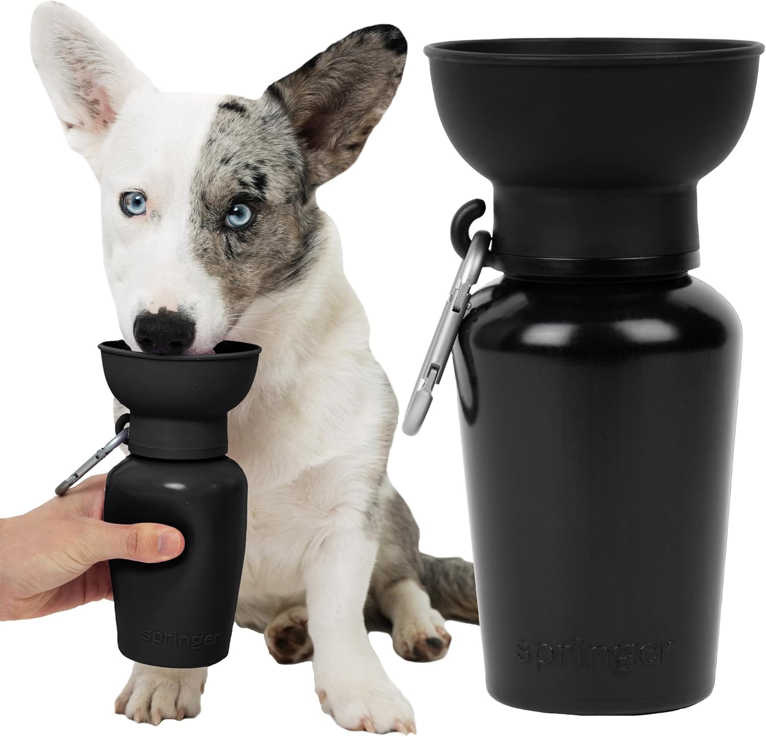 Springer by Springland Dog Water Bottle