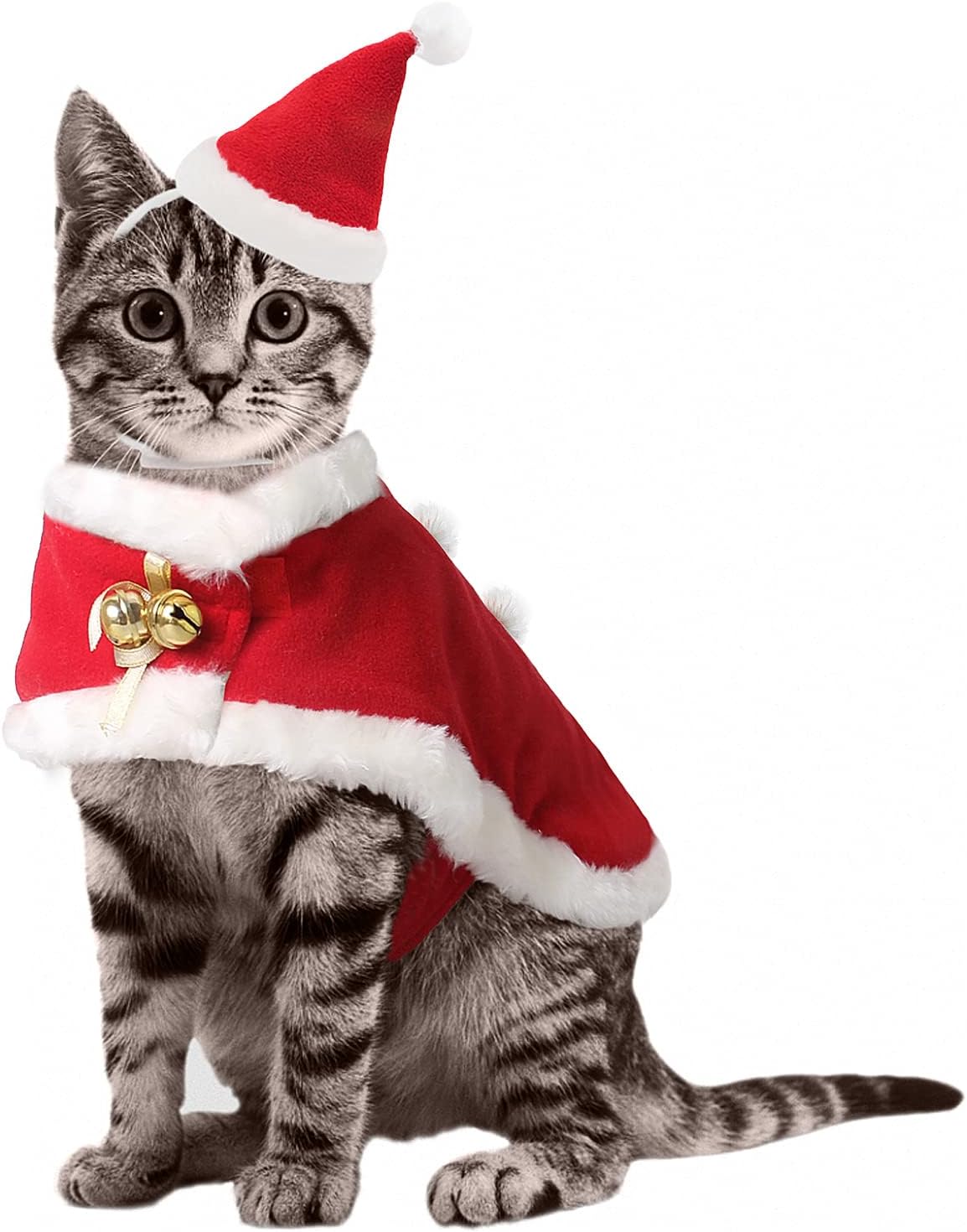 Pet Christmas Santa Costume – Hat & Cloak