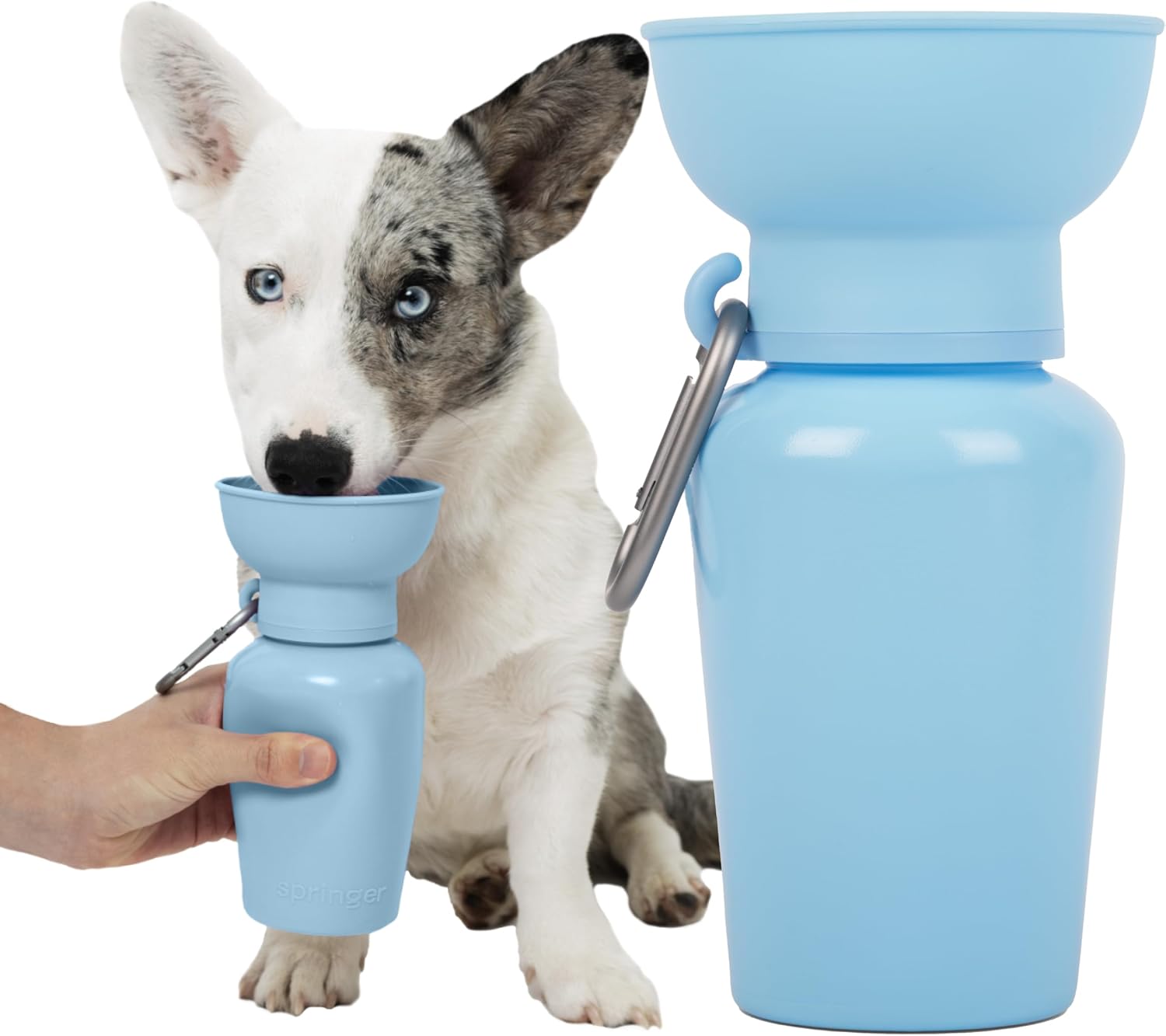 Springer by Springland Dog Water Bottle