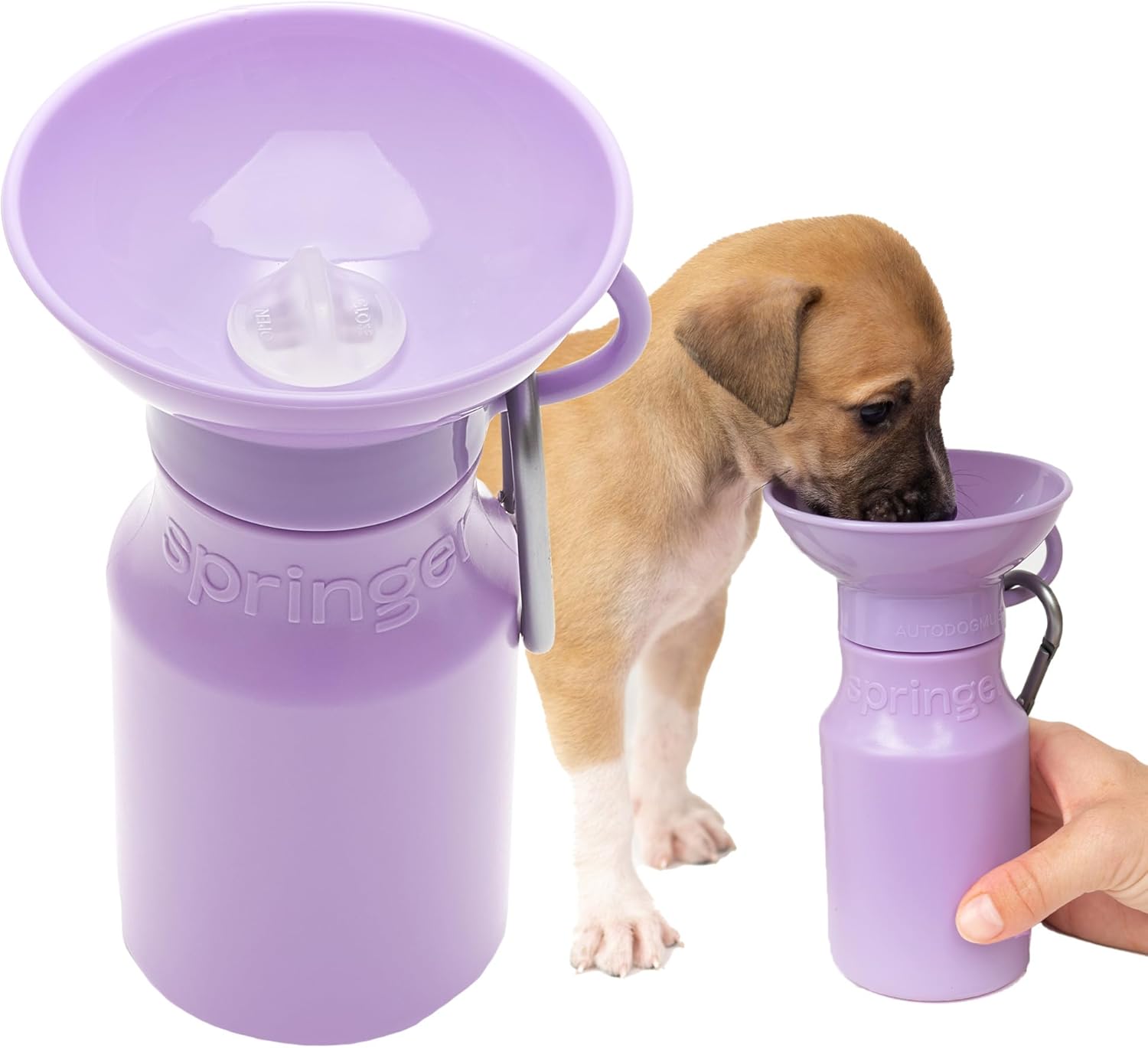 Springer by Springland Dog Water Bottle