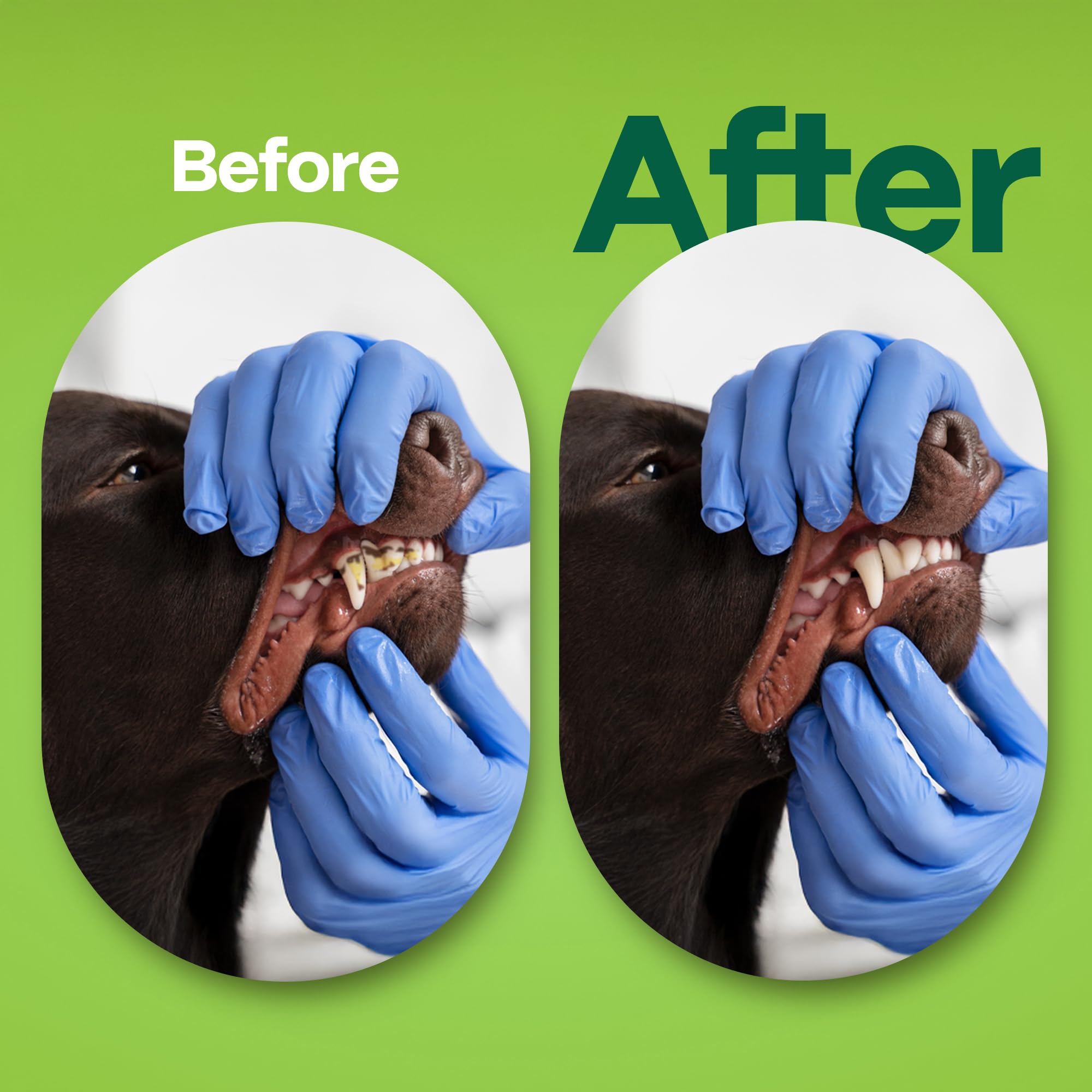 DOCO Dog Teeth Cleaning Wipes