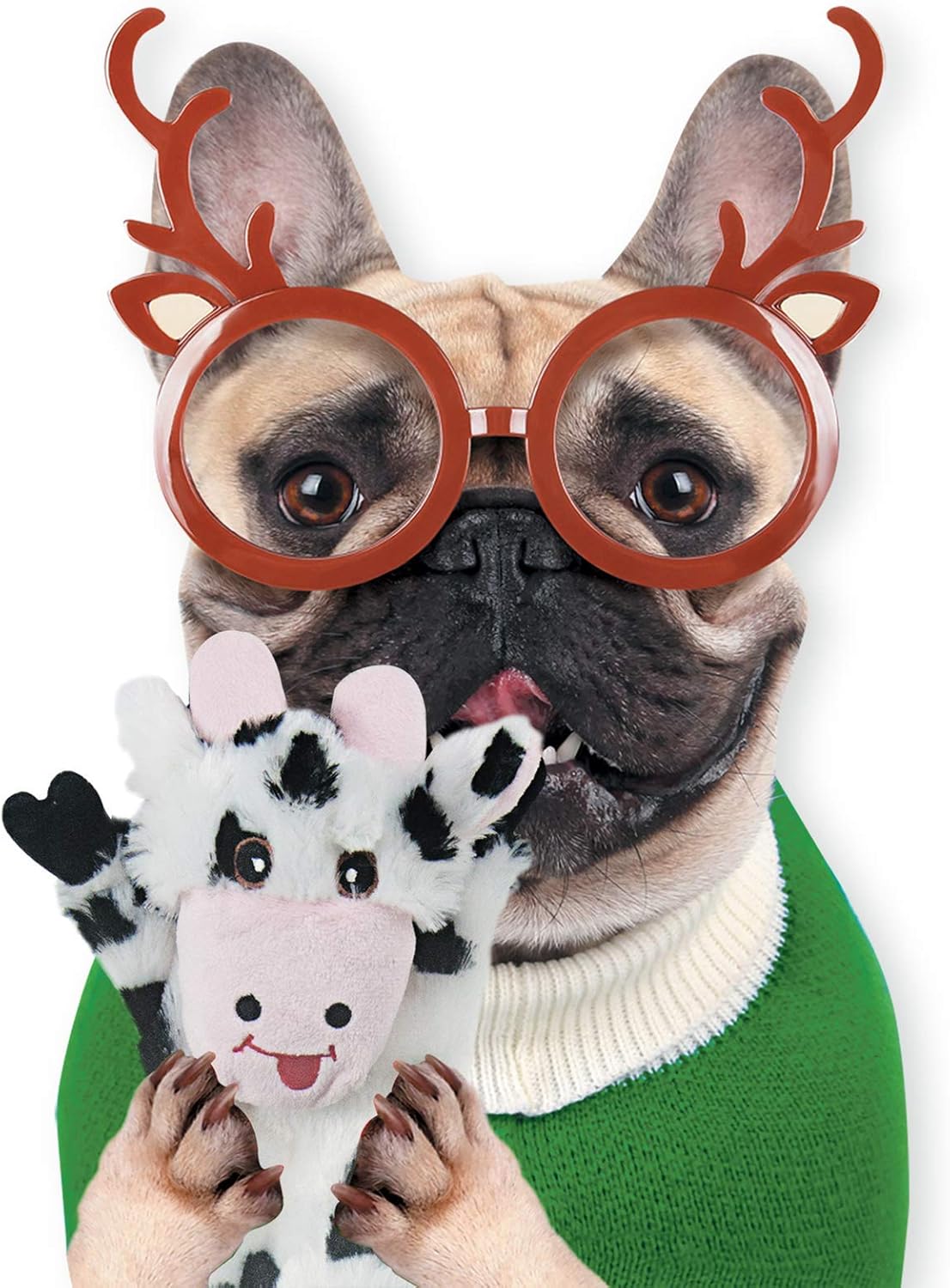 SHARLOVY Dog Squeaky Toys 5 Pack