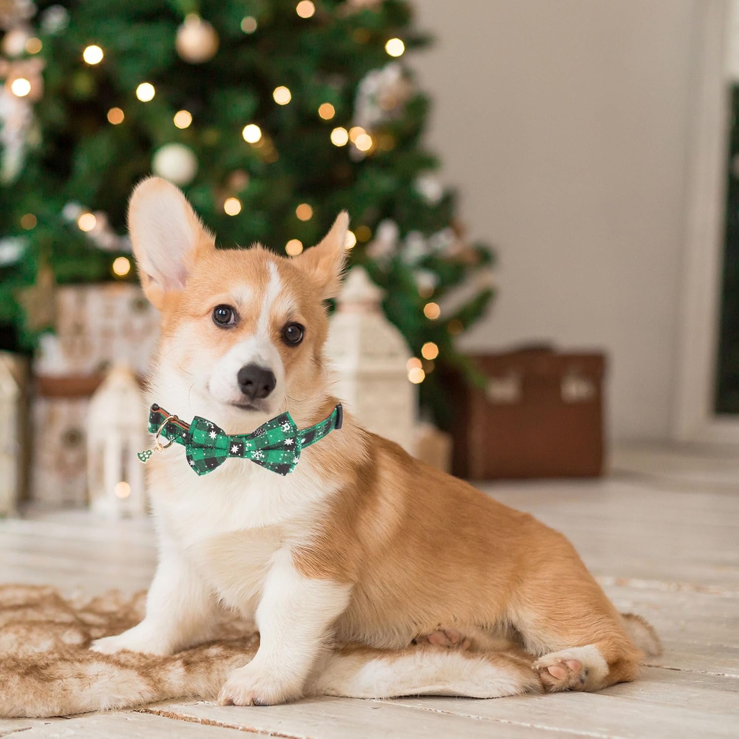 ADOGGYGO Christmas Dog Collar with Bow Tie Adjustable