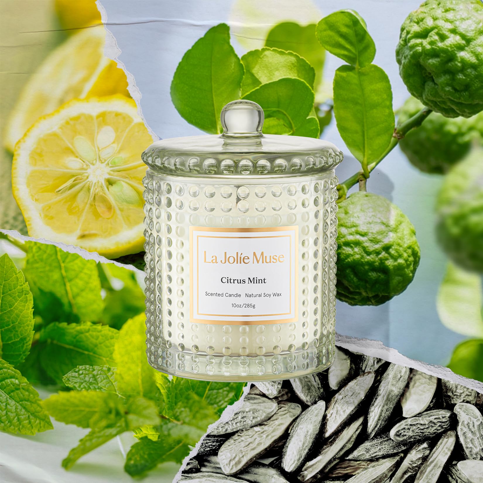 LA JOLIE MUSE Fall Candle | Sahara Amber Candles – Bergamot