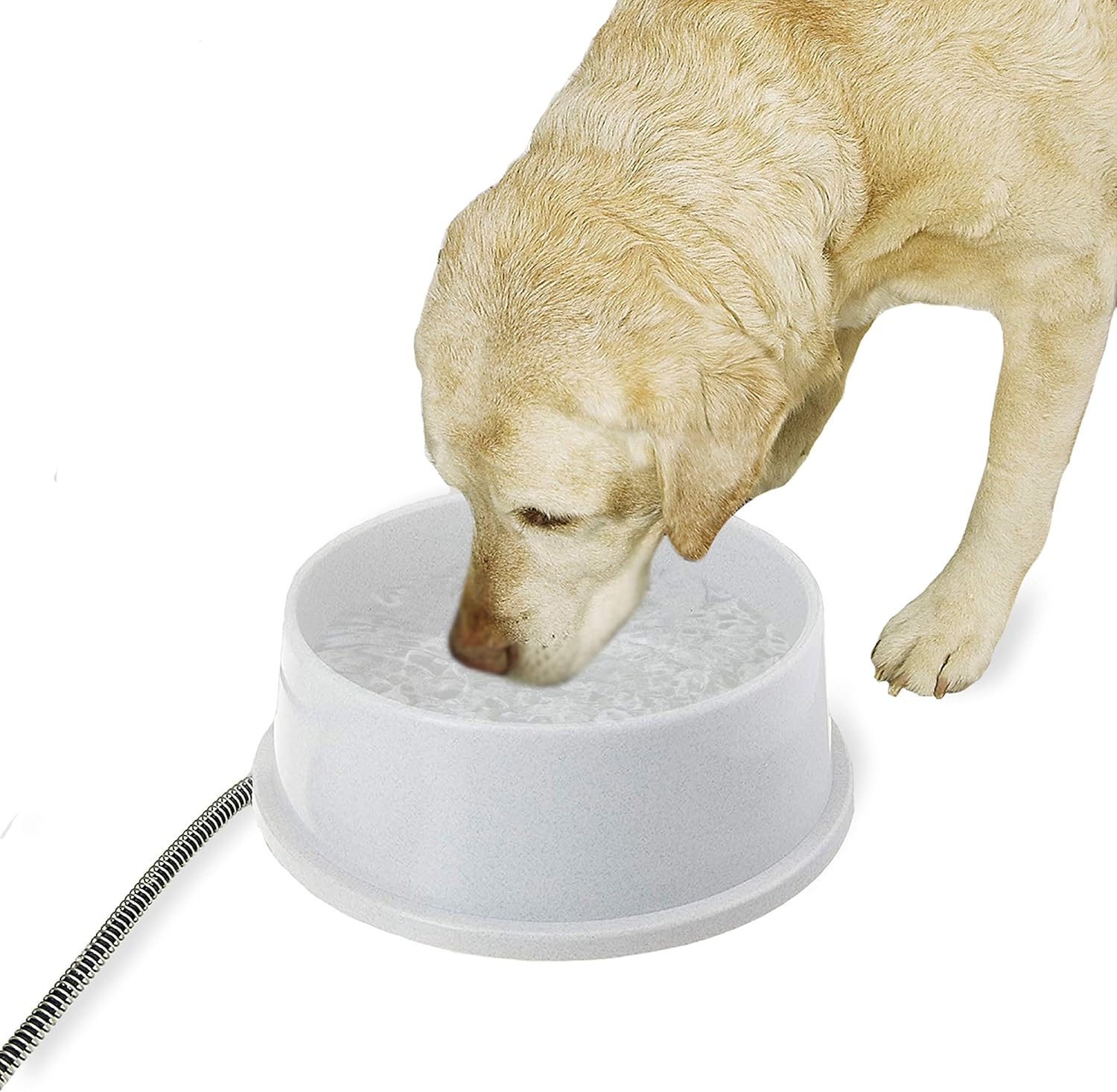 K&H Pet Products Thermal-Bowl Heated Water Bowl for Cats & Dogs