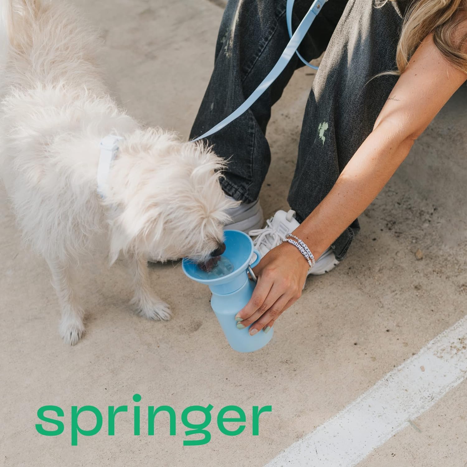 Springer by Springland Dog Water Bottle