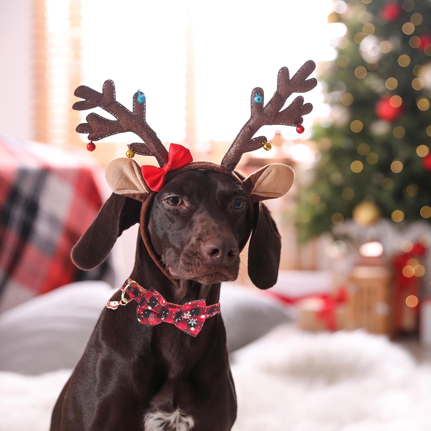 ADOGGYGO Christmas Dog Collar with Bow Tie Adjustable