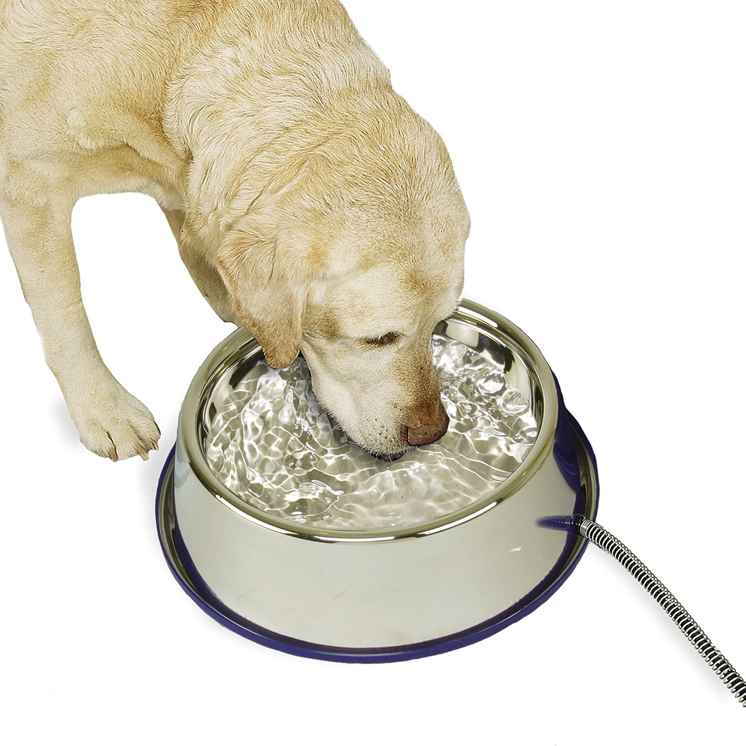 K&H Pet Products Thermal-Bowl Heated Water Bowl for Cats & Dogs