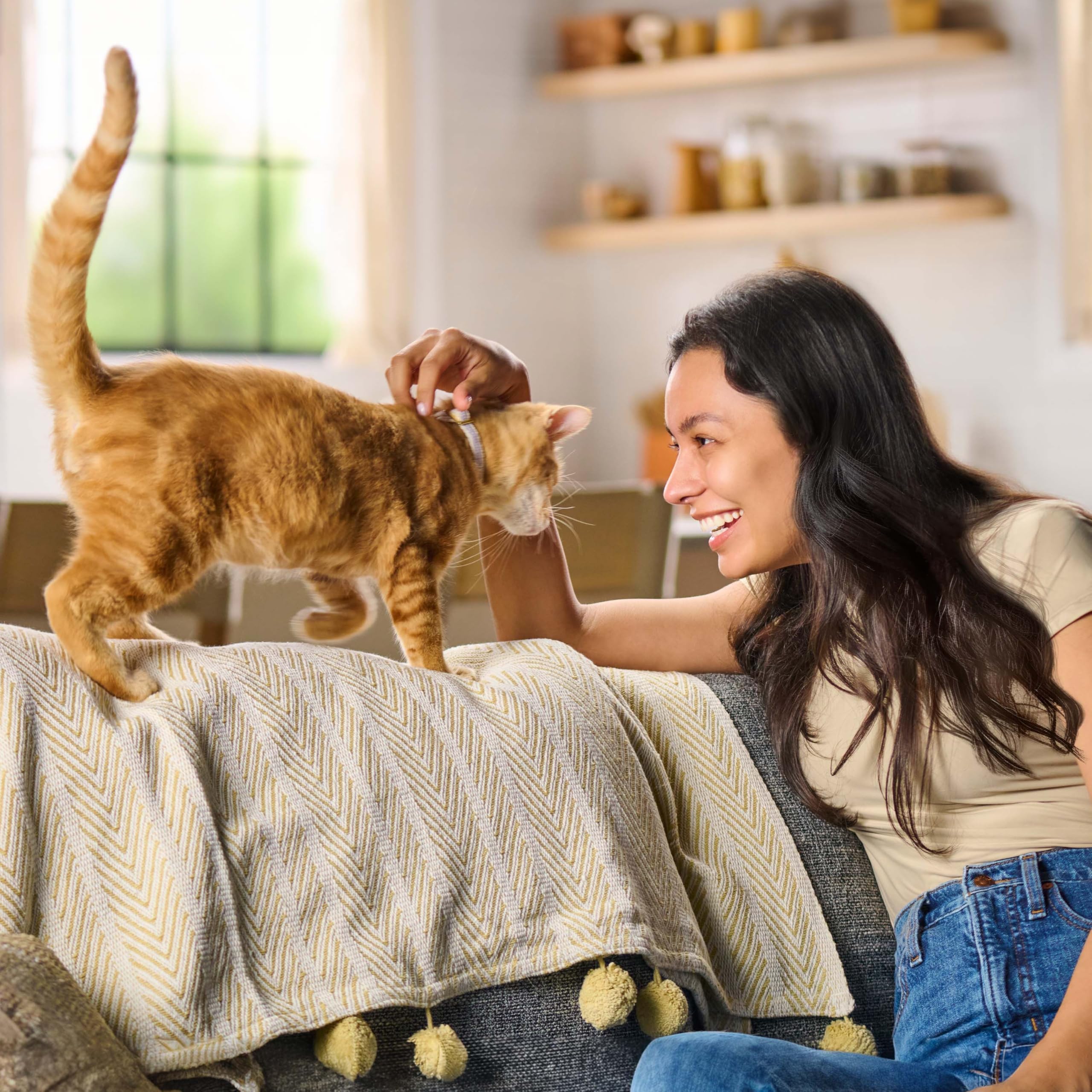 Meow Mix Original Choice Dry Cat Food, 6.3 Pound Bag